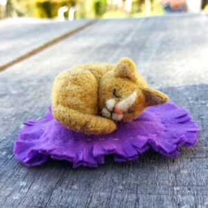 Videotutorial de Gatito Acostado